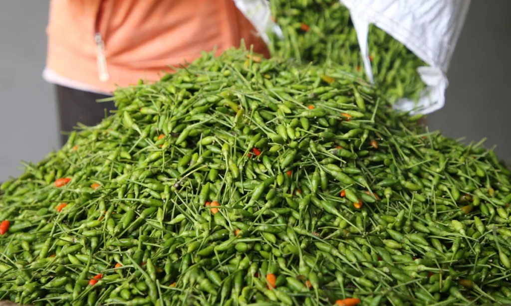 Ớt A Riêu – 1 lon (Sản phẩm Hội viên Phụ nữ)