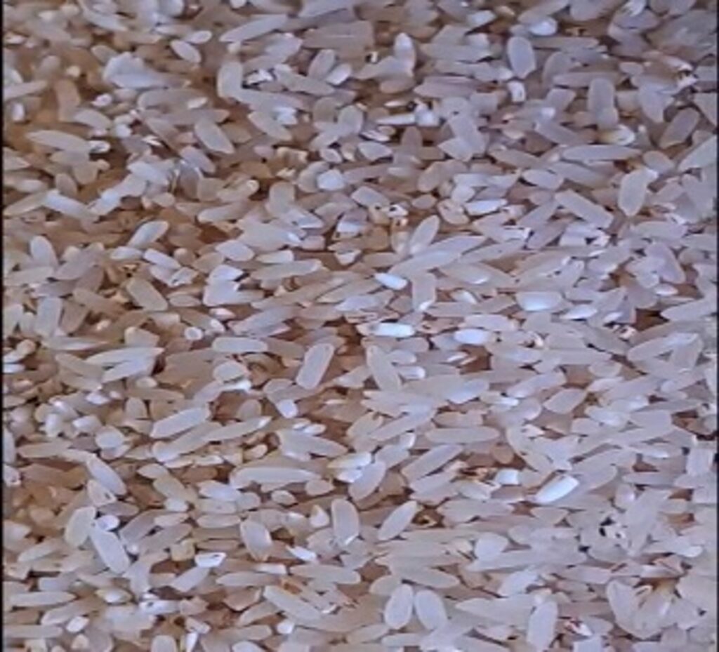 Gạo rẫy địa phương (Gạo Riếc) - Sản phẩm từ Hội viên Hội Liên hiệp Phụ nữ xã Nam Giang